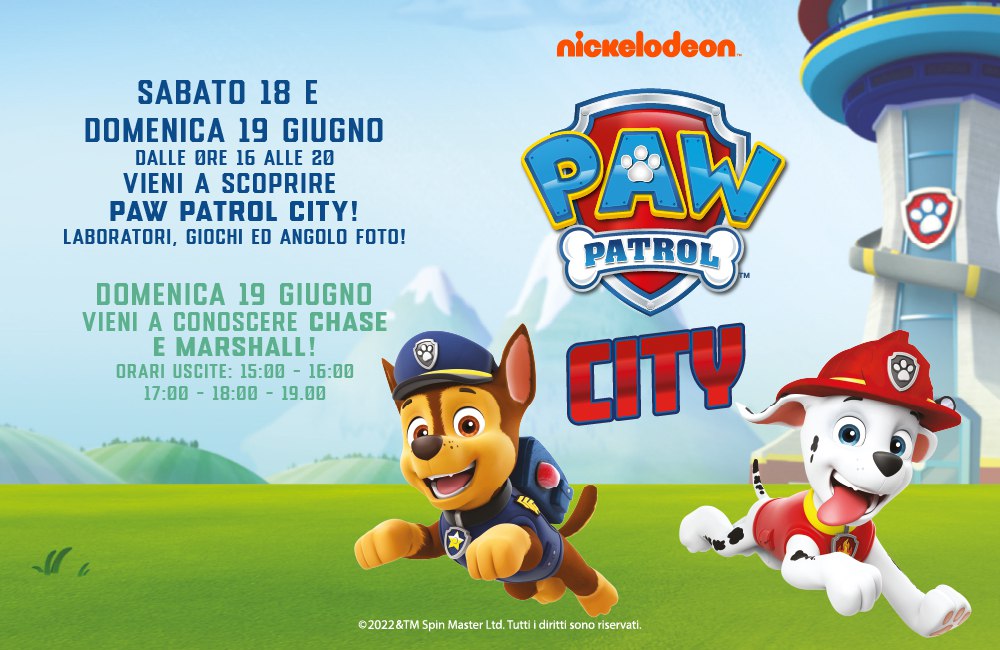 Paw patrol city
